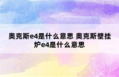 奥克斯e4是什么意思 奥克斯壁挂炉e4是什么意思